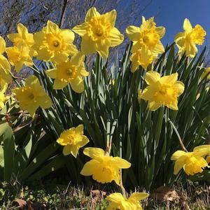 Meet your Posher, Helen